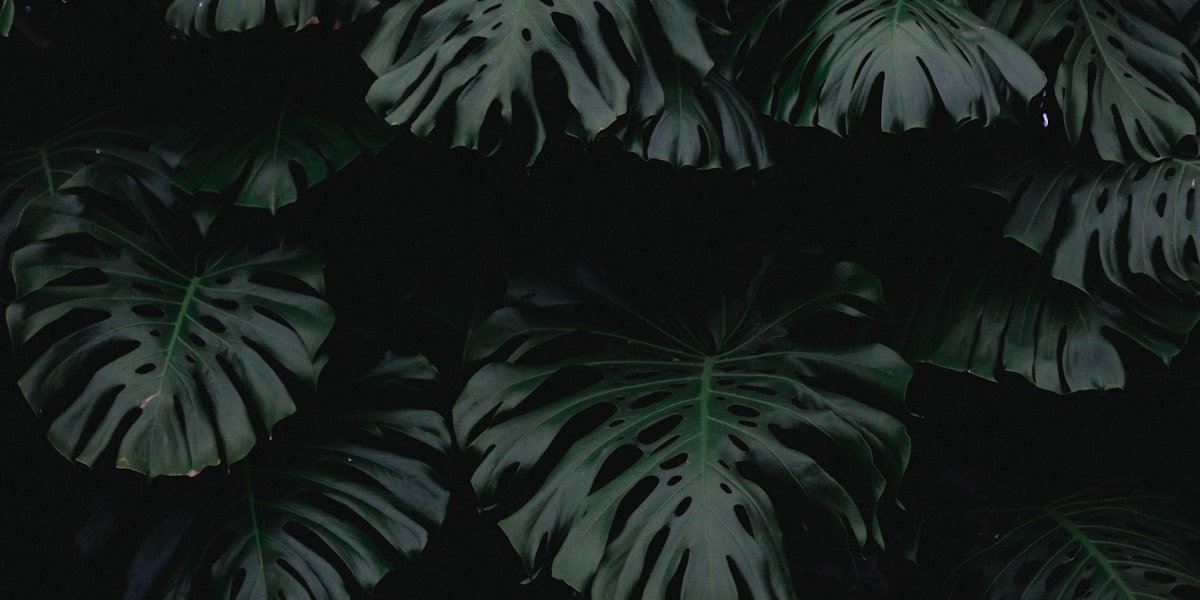 Multi-stop route planning for road trips